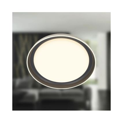 Brilo - IJUS LED Ceiling Light LED/24W/230V 3000K Ø 43 cm