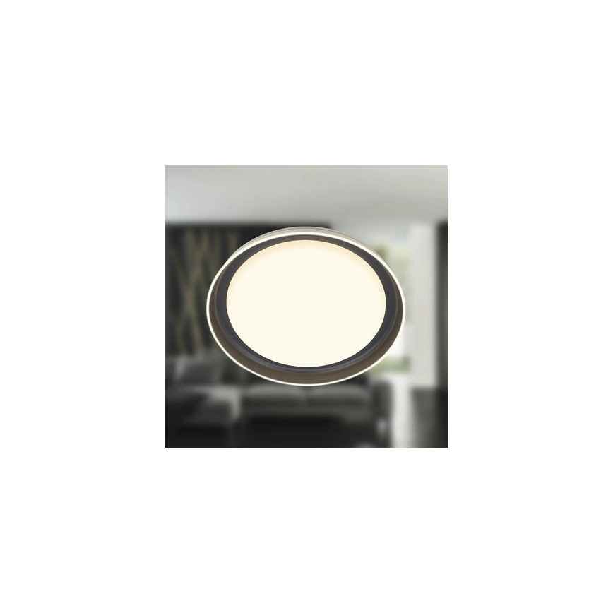 Brilo - IJUS LED Ceiling Light LED/24W/230V 3000K Ø 43 cm