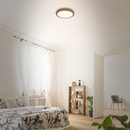 Brilo - LED Ceiling light RUNA LED/12W/230V