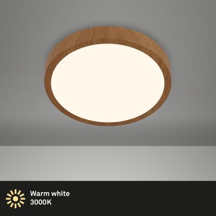 Brilo - LED Ceiling light RUNA LED/12W/230V