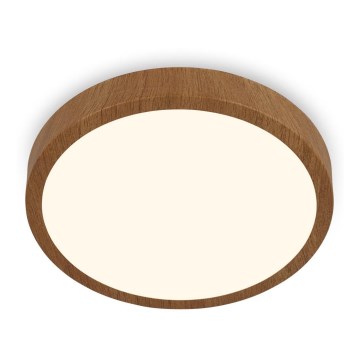 Brilo - LED Ceiling light RUNA LED/24W/230V