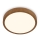 Brilo - LED Ceiling light RUNA LED/24W/230V