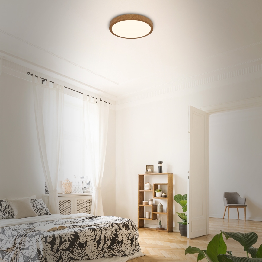 Brilo - LED Ceiling light RUNA LED/24W/230V