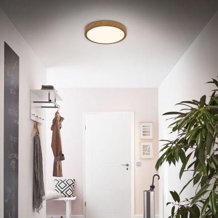 Brilo - LED Ceiling light RUNA LED/24W/230V