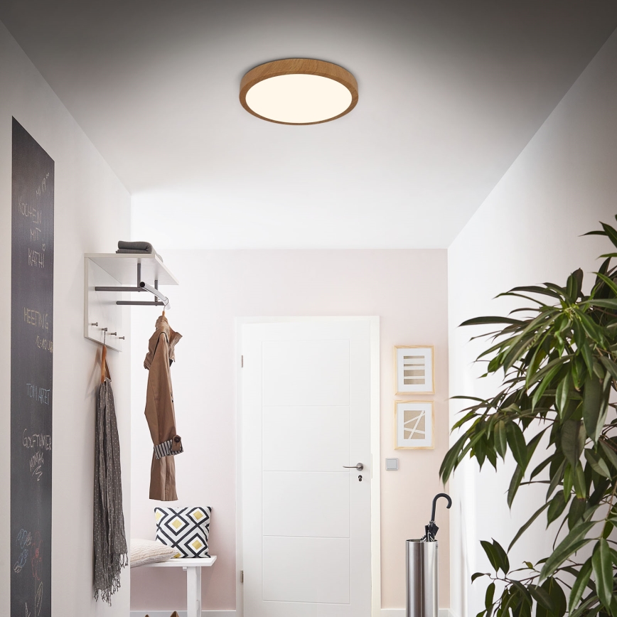 Brilo - LED Ceiling light RUNA LED/24W/230V
