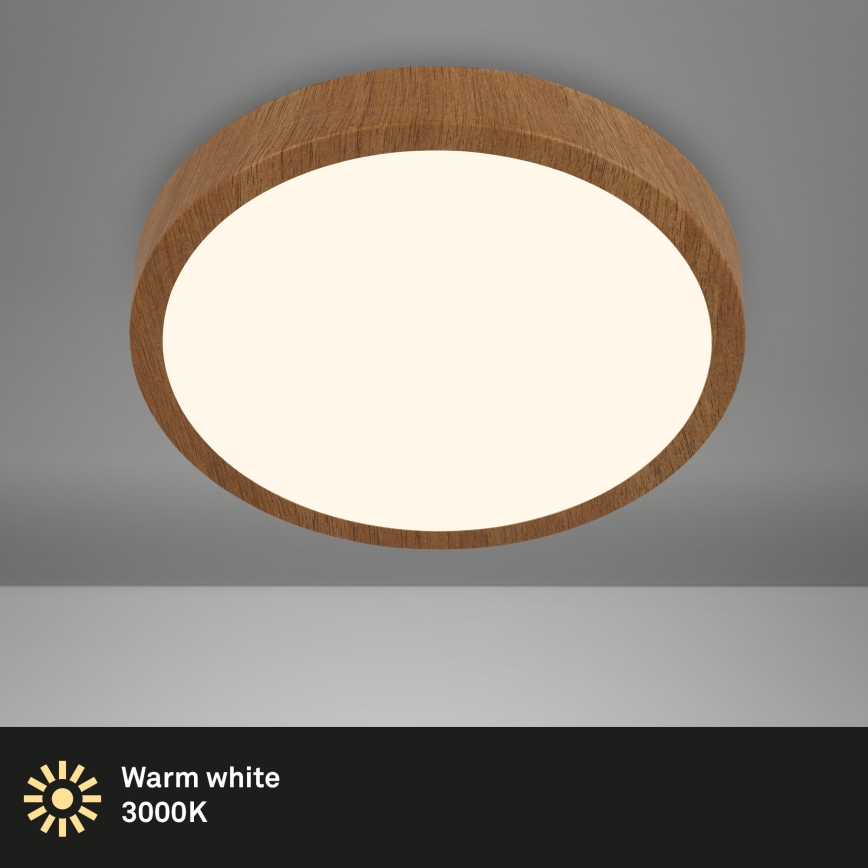 Brilo - LED Ceiling light RUNA LED/24W/230V