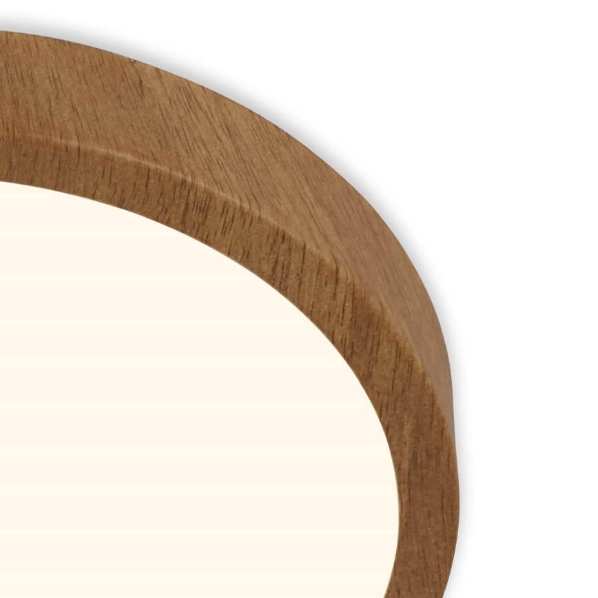 Brilo - LED Ceiling light RUNA LED/24W/230V