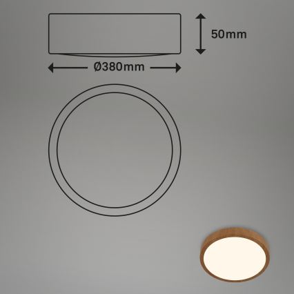 Brilo - LED Ceiling light RUNA LED/24W/230V