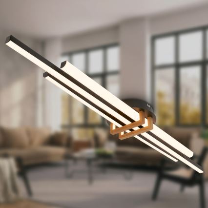 Brilo - LED Ceiling Light TINKA LED/30W/230V 3000K Black