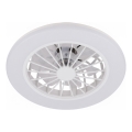 Brilo - LED Dimmable Ceiling Fan PAFO LED/24W/230V 3000-6500K White + Remote Control