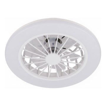 Brilo - LED Dimmable Ceiling Fan PAFO LED/24W/230V 3000-6500K White + Remote Control