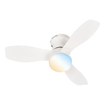 Brilo - LED Dimmable Ceiling Fan PAN LED/15W/230V 3000-6500K White + Remote Control
