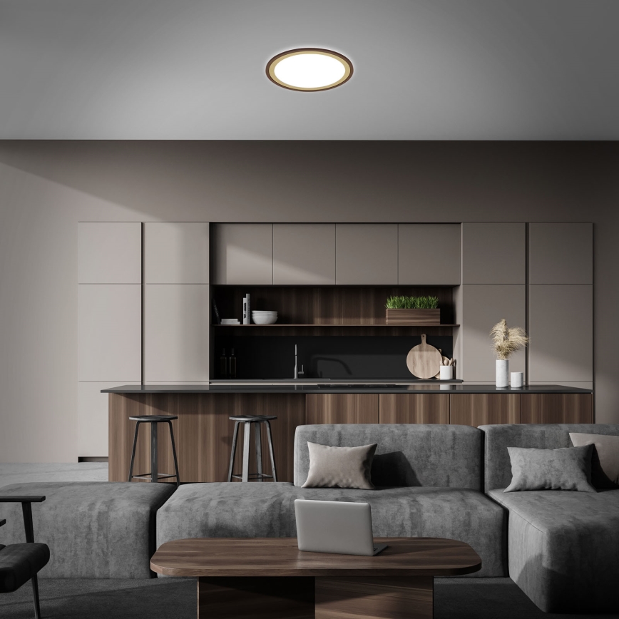 Brilo - LED Dimmable ceiling light SLIM LED/22W/230V 2700-6500K + remote control