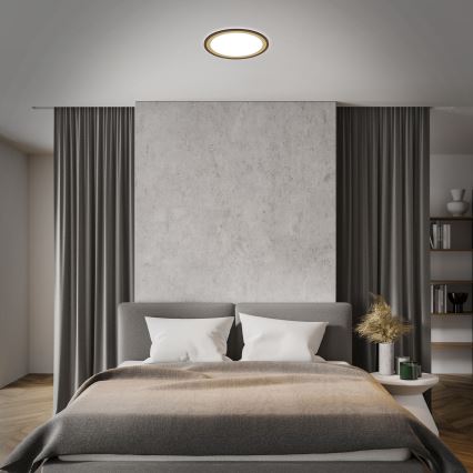 Brilo - LED Dimmable ceiling light SLIM LED/22W/230V 2700-6500K + remote control