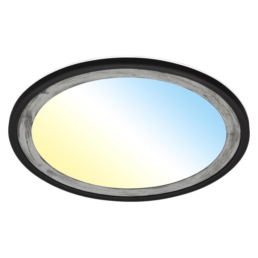 Brilo - LED Dimmable ceiling light SLIM LED/22W/230V 2700-6500K + remote control