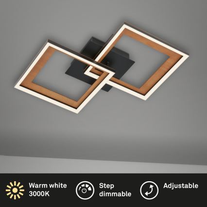Brilo - LED Dimmable surface-mounted chandelier FRAME 2xLED/11W/230V