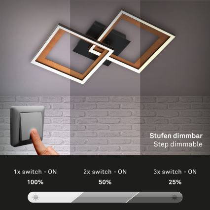 Brilo - LED Dimmable surface-mounted chandelier FRAME 2xLED/11W/230V