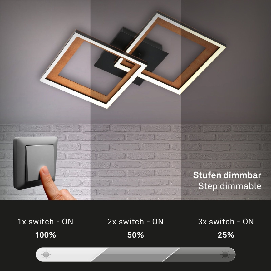 Brilo - LED Dimmable surface-mounted chandelier FRAME 2xLED/11W/230V