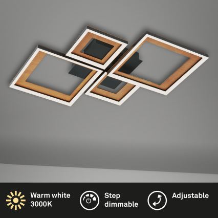 Brilo - LED Dimmable surface-mounted chandelier FRAME LED/38W/230V