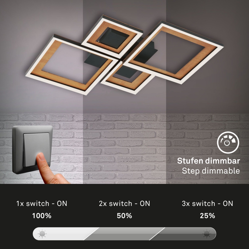 Brilo - LED Dimmable surface-mounted chandelier FRAME LED/38W/230V