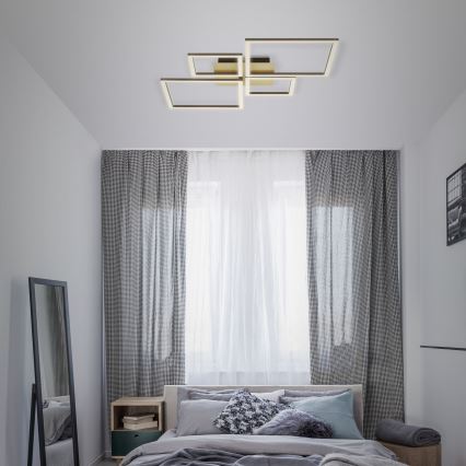 Brilo - LED Dimmable surface-mounted chandelier FRAME LED/44W/230V