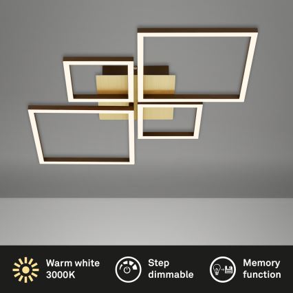 Brilo - LED Dimmable surface-mounted chandelier FRAME LED/44W/230V