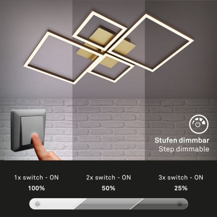 Brilo - LED Dimmable surface-mounted chandelier FRAME LED/44W/230V