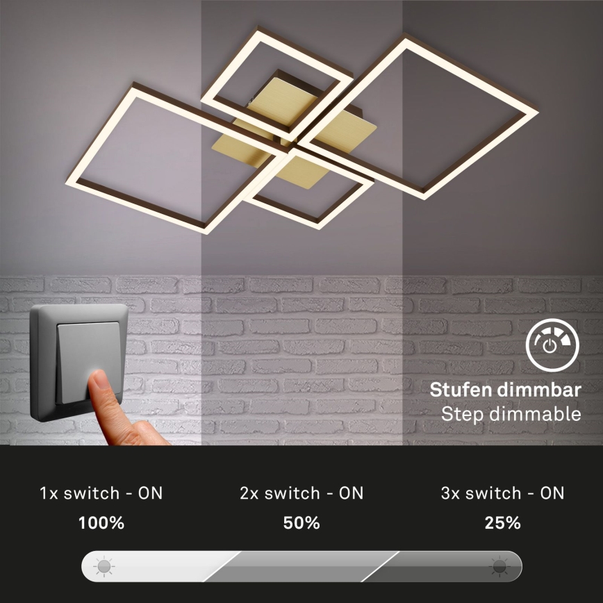 Brilo - LED Dimmable surface-mounted chandelier FRAME LED/44W/230V