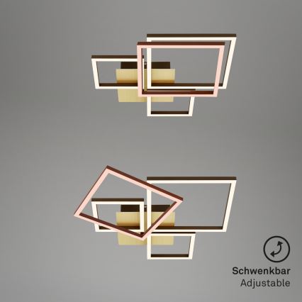 Brilo - LED Dimmable surface-mounted chandelier FRAME LED/44W/230V