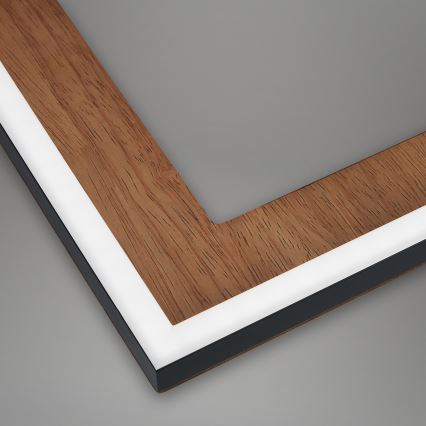 Brilo - LED Dimmable surface-mounted chandelier FRAME LED/45W/230V 2700-6500K + remote control