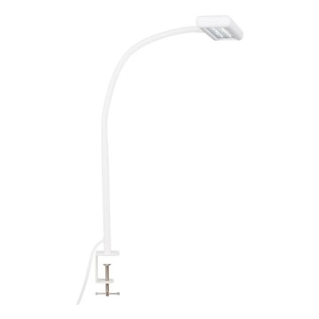 Brilo - LED Flexible table lamp with clip TRASNA LED/7,5W/230V white