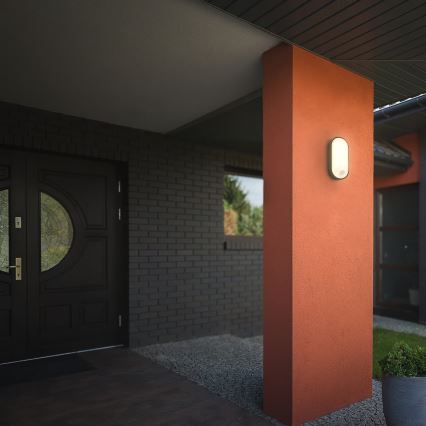 Brilo - RUCH LED Outdoor Wall Light with Motion and Dusk Sensor, 12W LED/230V IP65 Black