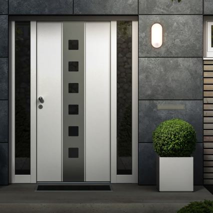 Brilo - RUCH LED Outdoor Wall Light with Motion and Dusk Sensor, 12W LED/230V IP65 Black