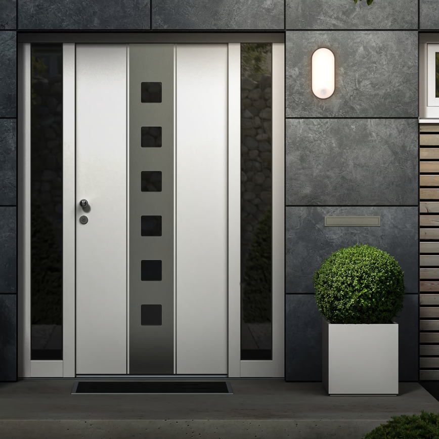 Brilo - RUCH LED Outdoor Wall Light with Motion and Dusk Sensor, 12W LED/230V IP65 Black