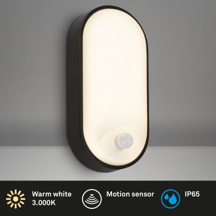 Brilo - RUCH LED Outdoor Wall Light with Motion and Dusk Sensor, 12W LED/230V IP65 Black