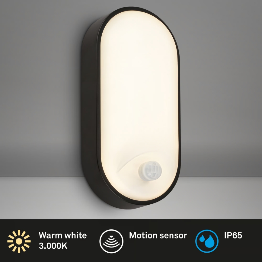 Brilo - RUCH LED Outdoor Wall Light with Motion and Dusk Sensor, 12W LED/230V IP65 Black