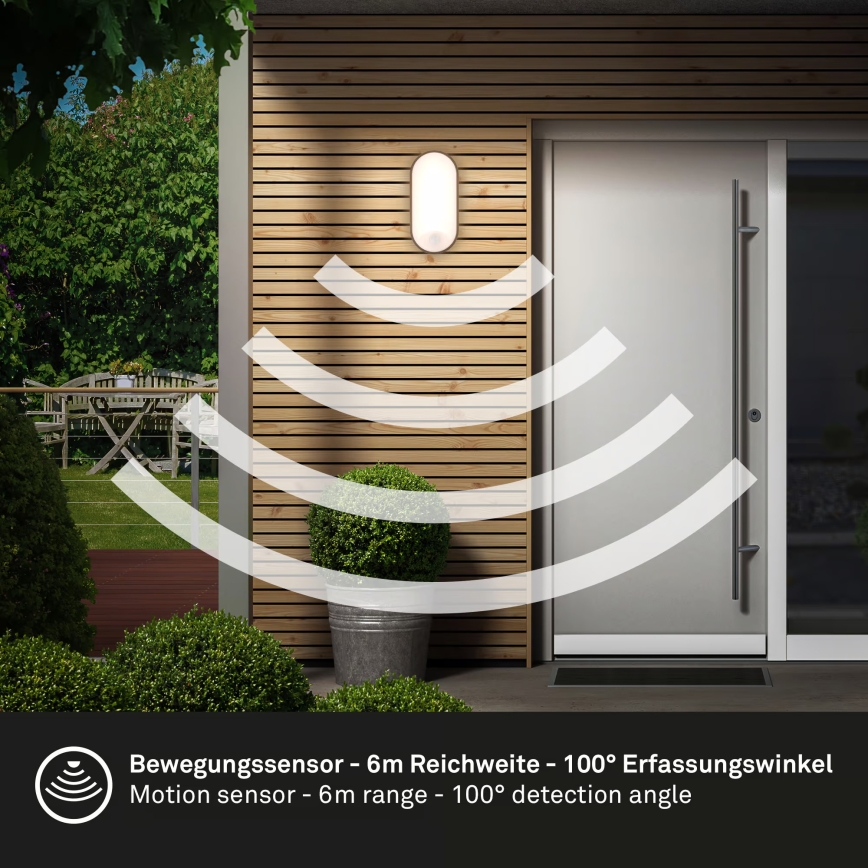 Brilo - RUCH LED Outdoor Wall Light with Motion and Dusk Sensor, 12W LED/230V IP65 Black