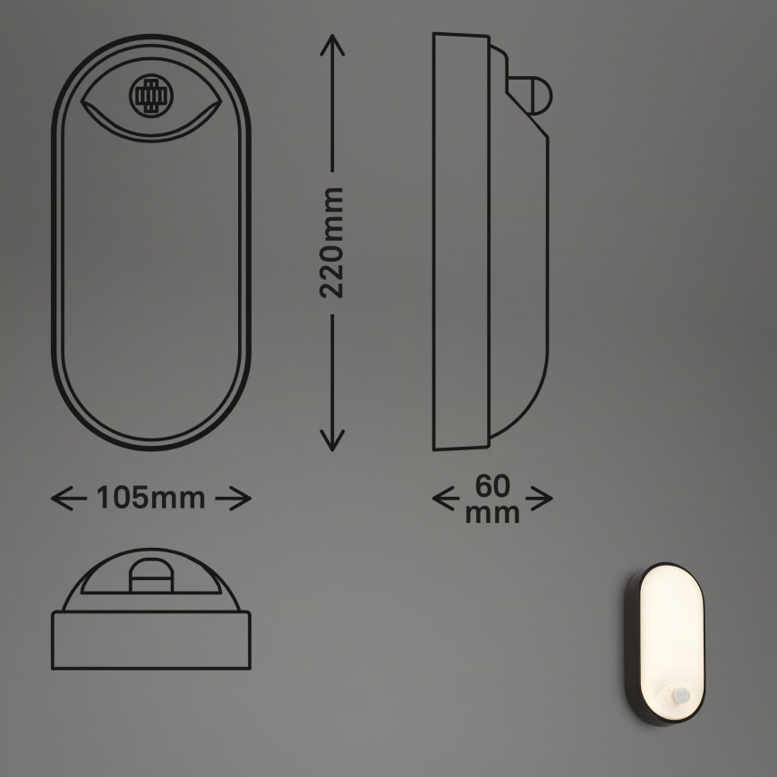 Brilo - RUCH LED Outdoor Wall Light with Motion and Dusk Sensor, 12W LED/230V IP65 Black