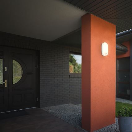 Brilo - RUCH Outdoor LED Wall Light with Motion and Dusk Sensor LED/12W/230V IP65 White