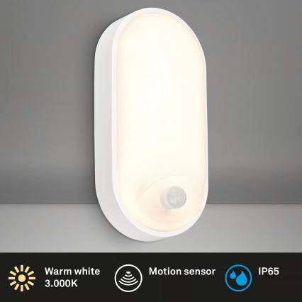 Brilo - RUCH Outdoor LED Wall Light with Motion and Dusk Sensor LED/12W/230V IP65 White