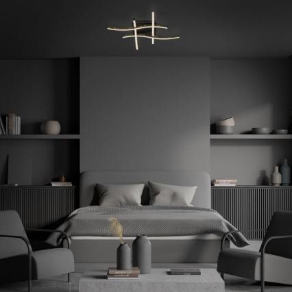 Brilo - LED Surface-mounted chandelier REY 4xLED/6W/230V black