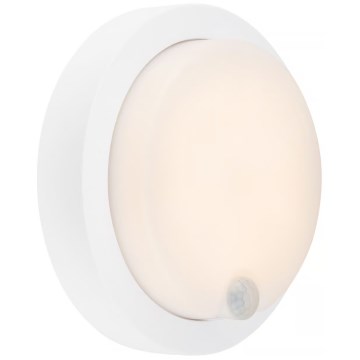 Brilo - Rechargeable Outdoor LED Wall Light with Sensor, 4W/5V, 4400 mAh, IP44, White