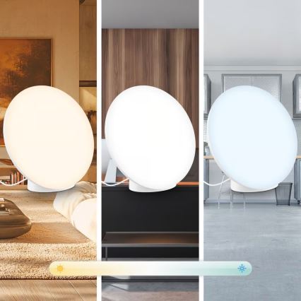 Brilo - LED RGBIC Dimmable Table Lamp TARA LED/6W/230V 3000-6500K White + Remote Control