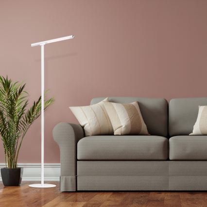 Briloner 1384-016 - LED Dimmable touch floor lamp 2in1 EVERYWHERE LED/2,3W/5V