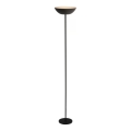 Briloner 1500015 - ESTATE Dimmable LED Floor Lamp LED/8W/5V 4000 mAh Black
