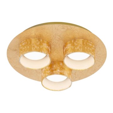 Briloner 2038-037 - LED Ceiling light PRO 3xLED/5W/230V golden