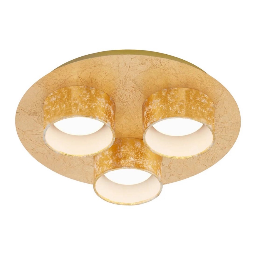Briloner 2038-037 - LED Ceiling light PRO 3xLED/5W/230V golden