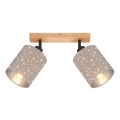 Briloner 2078-021 - Spotlight SPOTLIGHT 2xE27/25W/230V beige