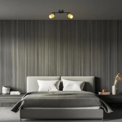 Briloner 2145-027 - Spotlight 2xGU10/9W/230V