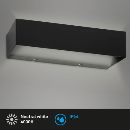 Briloner 2204-015 - LED Outdoor wall light LED/8W/230V IP44 black